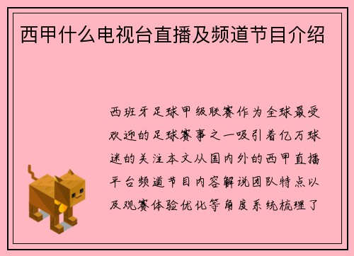 西甲什么电视台直播及频道节目介绍